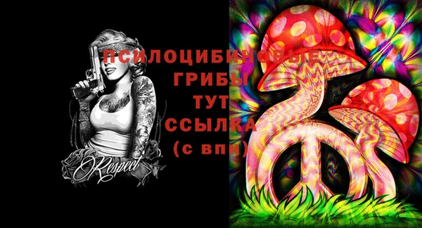 круглые Нягань