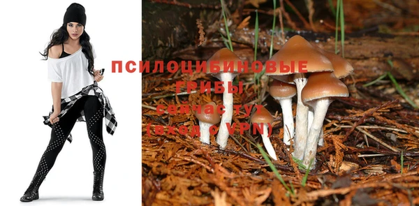 скорость mdpv Няндома