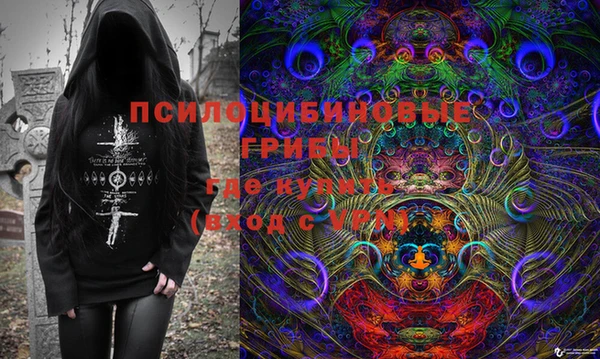 герыч Бикин