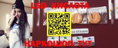 гашик Новозыбков