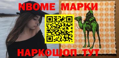 гашик Новозыбков