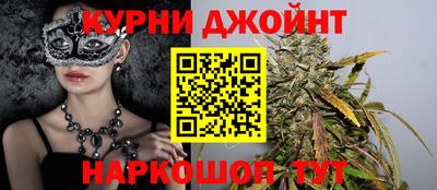 гашик Новозыбков