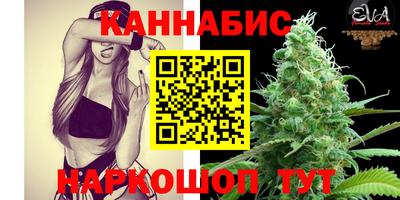 гашик Новозыбков