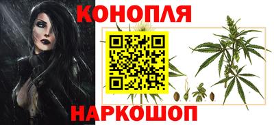 гашик Новозыбков