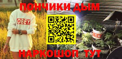 гашик Новозыбков