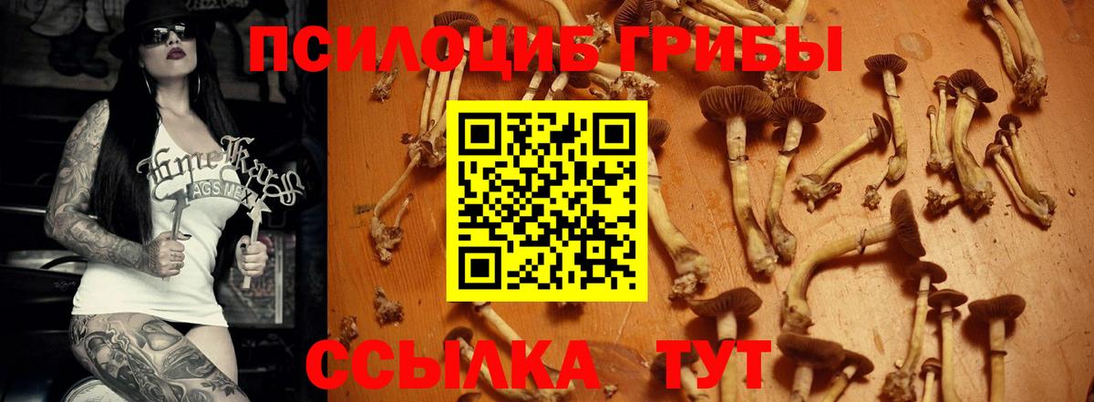 Галлюциногенные грибы мицелий  Вход с VPN  Галлюциногенные грибы Magic Shrooms  Энгельс 